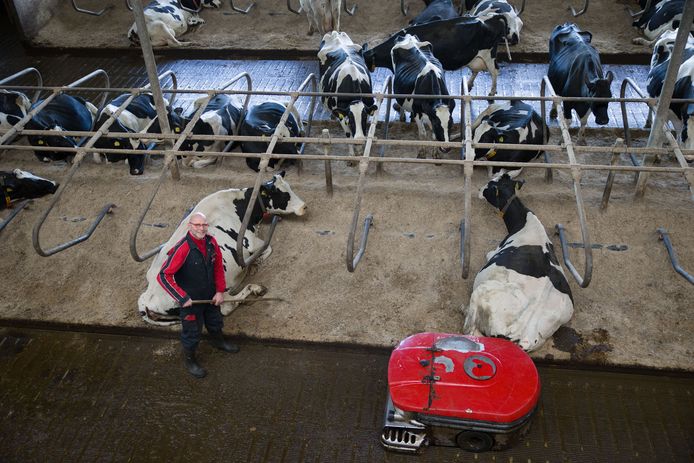 De 'Lely Sphere' op de boerderij van Ad van den Berg: een robot melkt de koeien, een andere borstelt ze en weer een andere ruimt hun uitwerpselen.