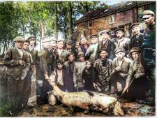 Na 70 jaar zwemt deze enorme vis straks weer in Nederlands water: ‘Zeldzamer dan zwarte neushoorn’ 