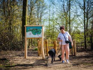 Op huizenjacht in… Deurne: “Ideale mix van stedelijk karakter en wondermooie parken”
