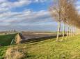 Net ten noorden van Goes zijn dijkjes aangelegd op een weiland langs de Deltaweg. Het waterschap is daar druk bezig vruchtbare grond te verzamelen.