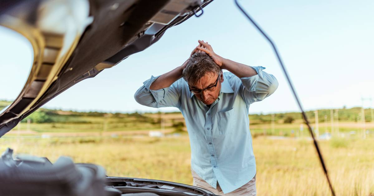 “Non lasciare mai la tua auto a potenziali acquirenti”, avverte Stefan: con questo trucco i truffatori cercano di ottenere un grande sconto sulla vendita di un’auto usata |  auto