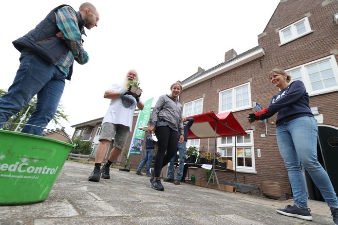 Actie Steenbreek bij buurthuis St. Anna