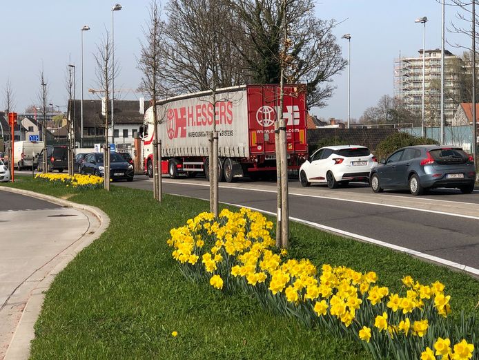 Door het ontbreken van de Noordelijke ring moet ook het vrachtverkeer nog steeds over de vesten.