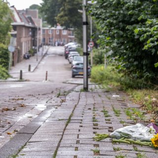 Opinie nieuws