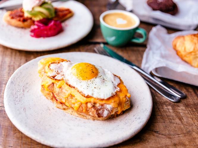 "Vul je kom met yoghurt en fruit en werk af met granola, niet andersom": diëtist bespreekt 7 ontbijten en duidt wat écht gezond is