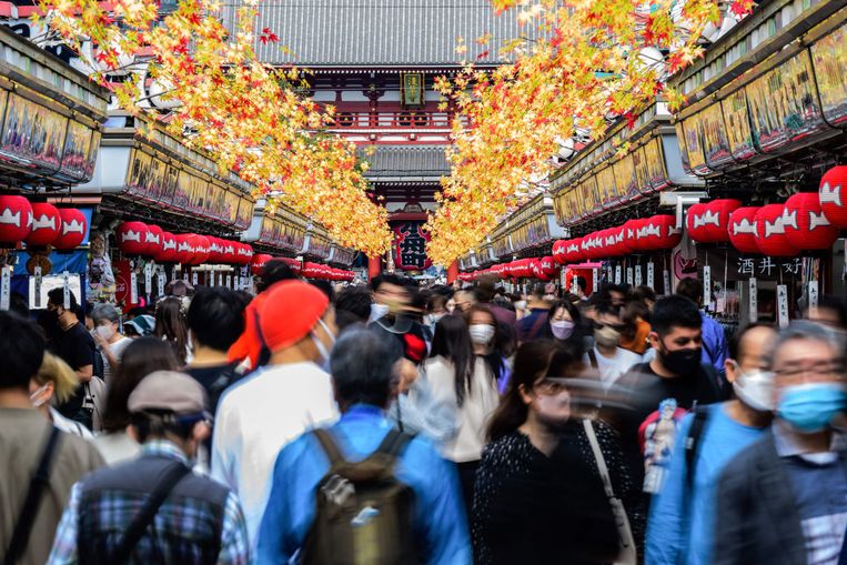In Tokio bezoeken toeristen de populaire Sensoji-tempel, op 16 oktober 2022. Op 11 oktober zei Japan haar verplichte quarantaineperiode gedag. Beeld AFP