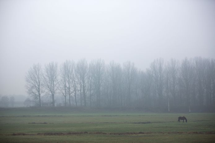 Mist in Limburg 
Schulen