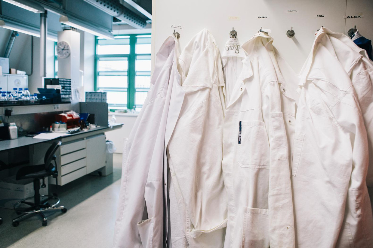 Labjassen in het biologisch laboratorium van de Radboud Universiteit in Nijmegen.  Beeld Marcel Wogram / de Volkskrant