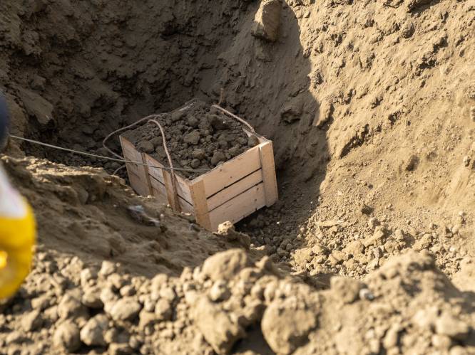DOVO vernietigde vorig jaar 166 ton oorlogsmunitie in West-Vlaanderen: “Hoogste cijfer in vijf jaar”