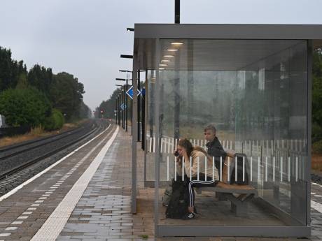 Arriva-personeel staakt weer, vrijdag geen treinen op de Maaslijn