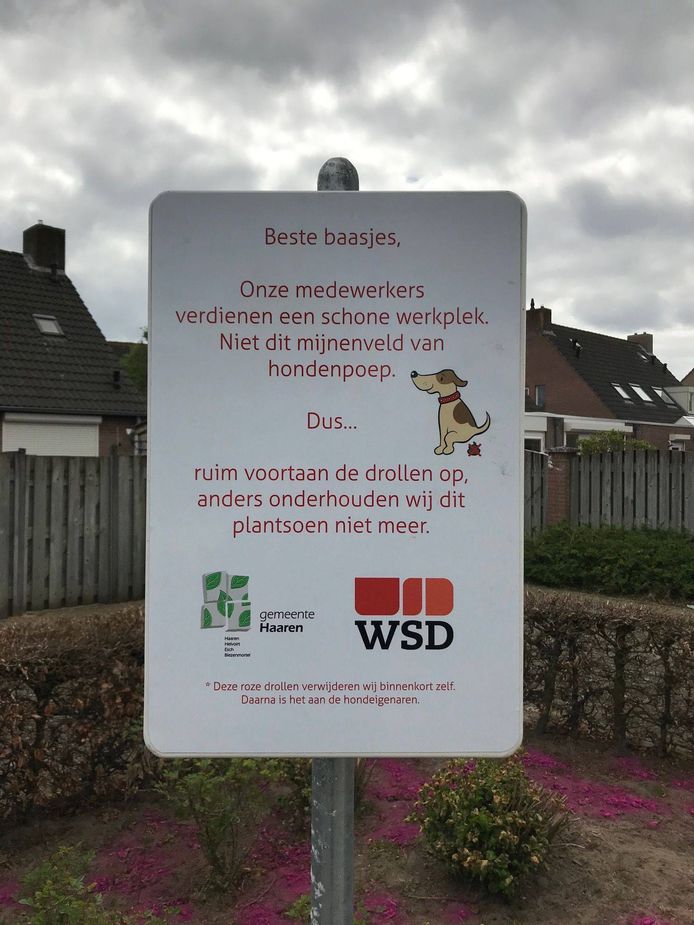 botsing efficiënt wat betreft Paars poepveld probleem voor schoffelaars | Meierij | bd.nl
