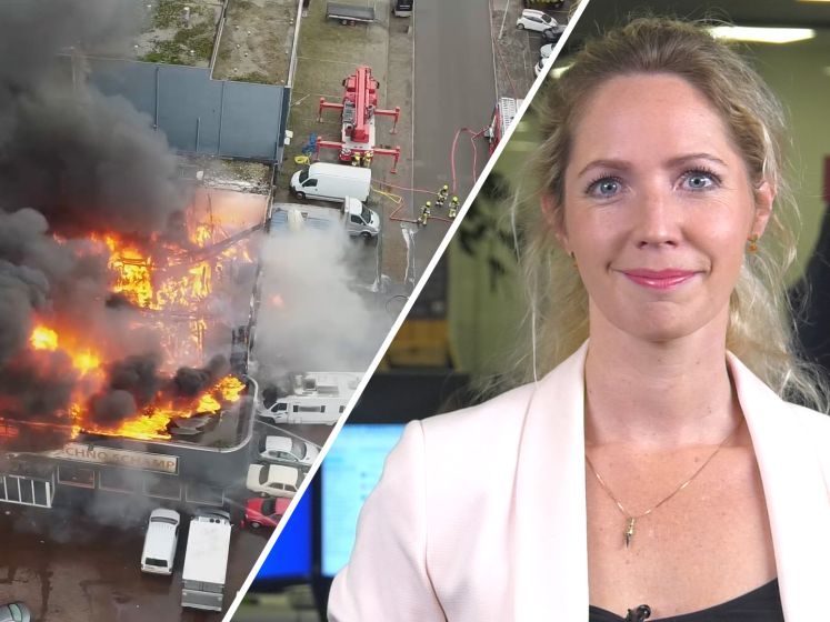 Grote brand bij autobedrijf in Nijmegen • Wolf gespot in De Heurne
