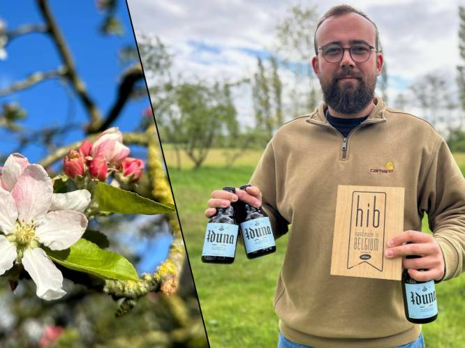 Bertjan (27) krijgt het Handmade in Belgium-label voor zijn ambachtelijke cider ‘Iduna’: “Ik wil er mee voor zorgen dat diverse boomgaarden blijven bestaan”  