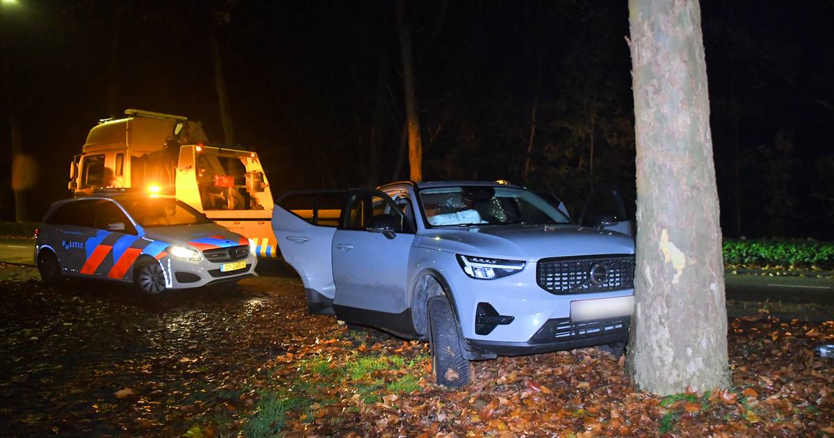 Automobilist raakt van de Kinderdijk in Axel en botst tegen boom