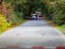 Hoogspanningskabel geknapt door dode boom in Beekbergen