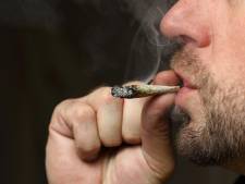 Une marche à Liège pour la légalisation du cannabis