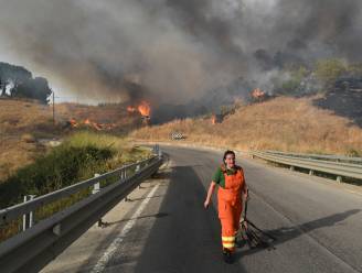 Dodentol van bosbranden in zuiden van Italië loopt op