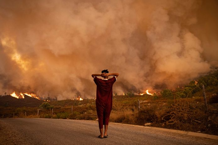 Natuurbranden in Chefchaouen in het noorden van Marokko in augustus vorig jaar.