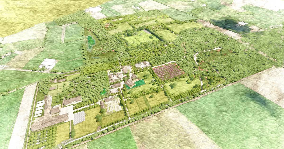 Felle kritiek op luxe vakantiepark in Marle: 'Erg jammer dat buren nooit iets aan ons hebben gevraag