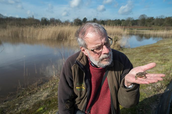 Ron Felix, een van de vele onderzoekers in natuurgebied De Kaaistoep, aan de rand van een poel. Op zijn hand een pad.
