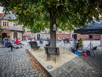 Stadsmuzikantenfestival keert terug naar Tongeren op 25 juni