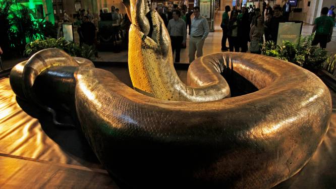 Prehistorische slang woog 1 ton en was 14 meter lang