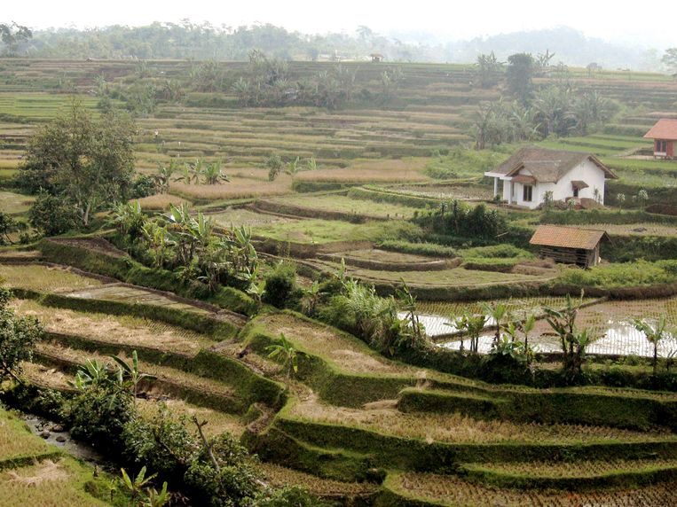 Uitzicht over Kampung Naga: zo ziet een traditioneel Soendanees dorp eruit. Beeld Ann-Marie Cordia