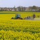 Graslandvlinders en boomkroonbedekking: dit is de Europese Natuurherstelwet