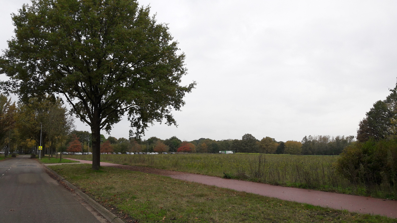Het gebied aan de Castillëlaan in Eindhoven; tussen de Huizingalaan en het woonwagenkamp komen  670 tijdelijke huurwoningen in de categorie middeldure en sociale huur en zelfbouw.
