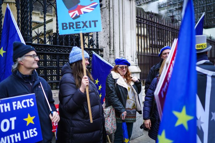 Anti-brexitbetogers bij het Britse parlement.
