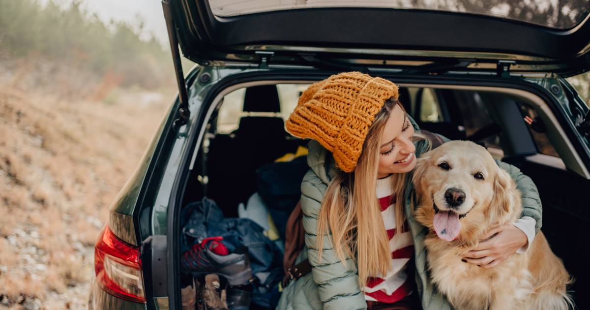 “Un cane di 35 kg seduto senza protezione sul sedile posteriore si trasforma in un proiettile da una tonnellata in caso di incidente”: ecco come trasportare in sicurezza il vostro amico a quattro zampe in macchina |  Viaggiare in macchina