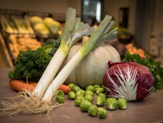 Inschrijvingen voor groentenpakketten Hof ter Dreef gestart: “Veel variatie in alle transparantie”