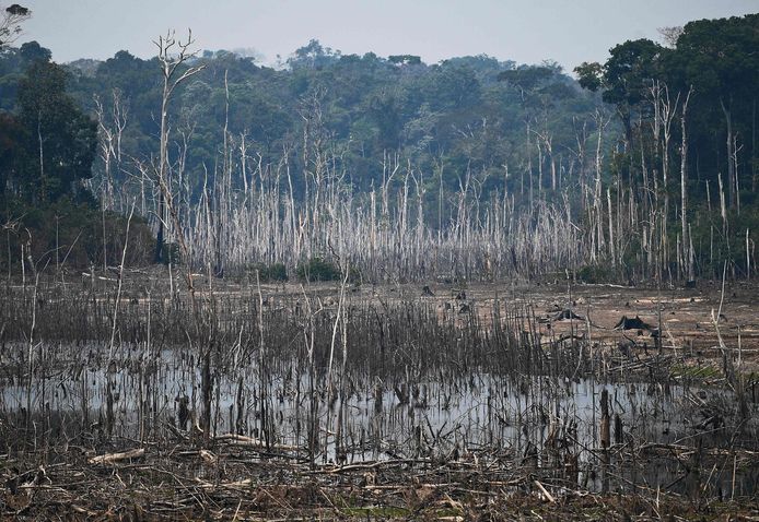 Een ontbost stuk van de Amazone in Brazilië.