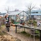 Ontmoetingsplek De VerbroederIJ mag toch blijven in Amsterdam-Noord