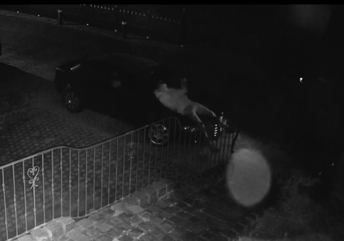 Screenshot van de video waarin een onbekende op de auto springt.