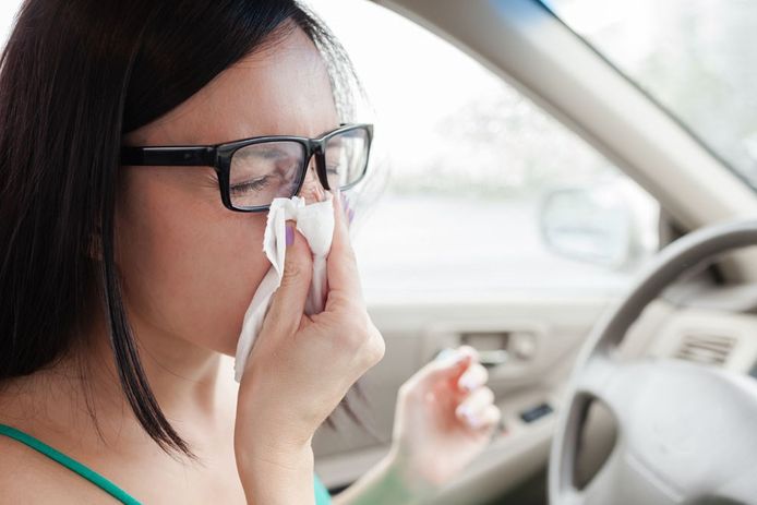 Rijden met hooikoorts kan gevaarlijk zijn doordat je tijdens het niezen vaak lange tijd je ogen gesloten houdt.