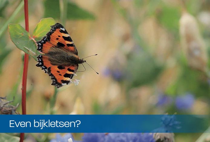 Ansichtkaarten met geluksmomentjes