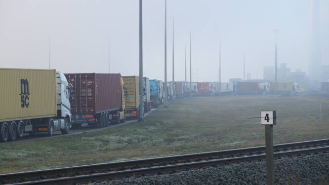 Chaos in haven door dichte mist, truckers tot 10 uur vast in wachtrij