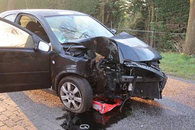 Automobilist rijdt tegen boom in Molenschot