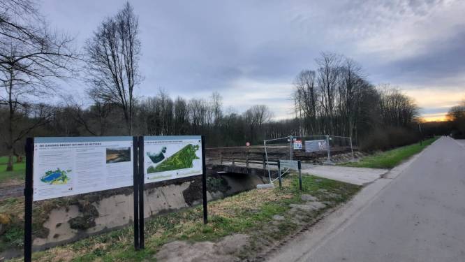 Gaverbeek krijgt nieuwe loop, daarvoor wordt in de beginfase vooral veel groen ‘gekapt’