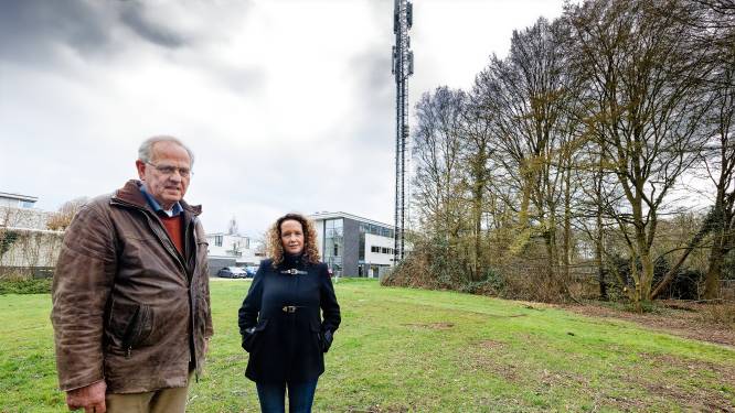 Naast de A65 en een zendmast ook nog een stroomstation in de achtertuin: ‘We zijn ons kapot geschrokken’