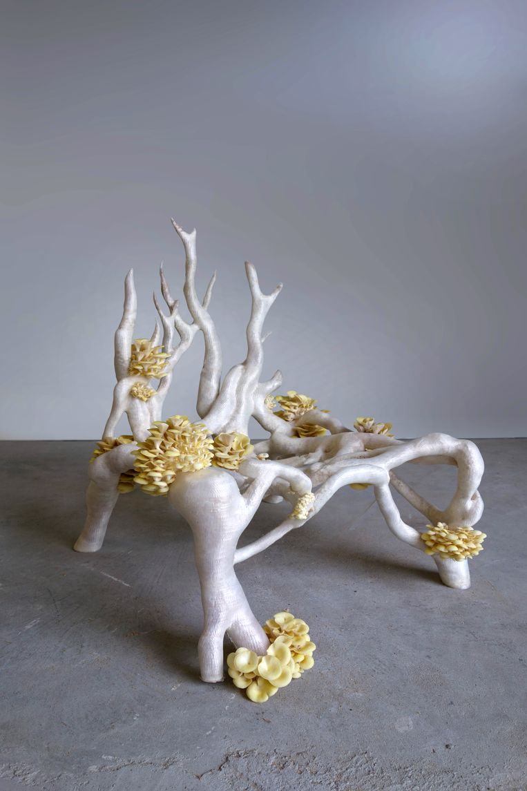 De Mycelium Chair van het Nederlandse ontwerpersduo Klarenbeek & Dros. Beeld rv