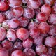 Arnhemmer doet bizarre vondst in bakje rode druiven van supermarkt