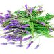 Lavendel-citroenkoekjes om mijlen voor om te rijden