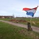 Hoe stemde uw buurt? Acht opmerkelijke bevindingen van de Statenverkiezingen