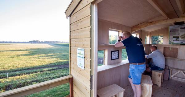 Reeën en vogels spotten vanuit verplaatsbare uitkijkpost van Twenterand: 'Enige in zijn soort' - Tub