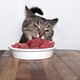 Nederlandse katten krijgen tbc door besmet slachtafval