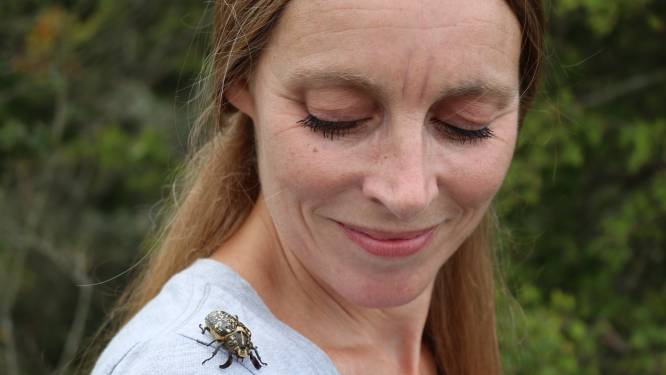 Biologen praten over insecten in Villa Augustus