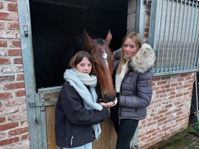 Vechtscheiding leidt tot plotse illegale verkoop van pony en ontroostbare Anysia (17): 