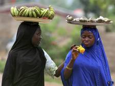 Une "mystérieuse" maladie fait 17 morts au Nigéria
